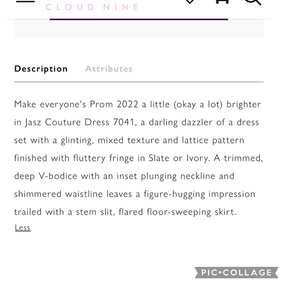 Jasz Couture size 00 - Picture 8 of 12